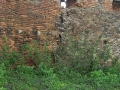 Aufnahme_0968.JPG