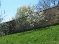 Aufnahme_1524.JPG