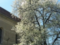 Aufnahme_1529.JPG